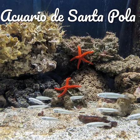Apartment Best Holiday Santa Pola