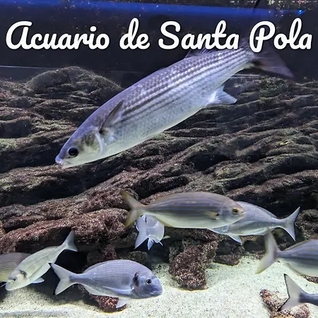 Apartamento Best Holiday Santa Pola